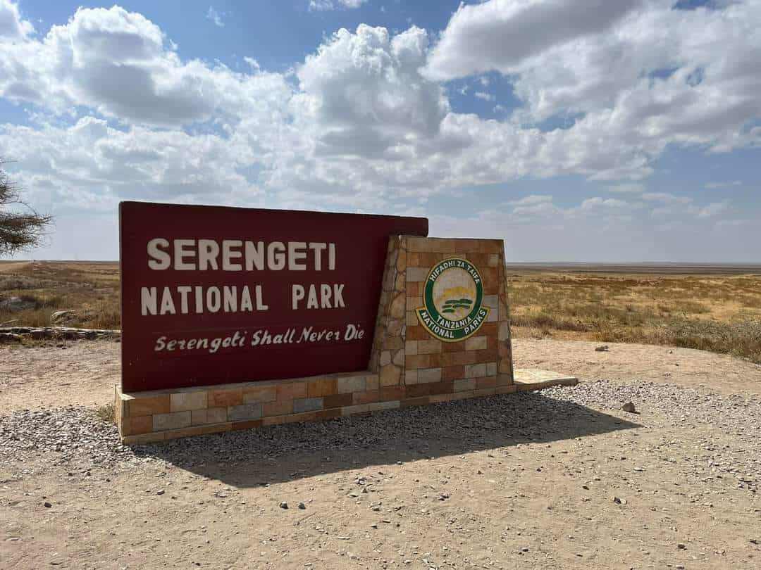 Safari (Nord Tanzania) e Zanzibar (Viaggio di Nozze) -image